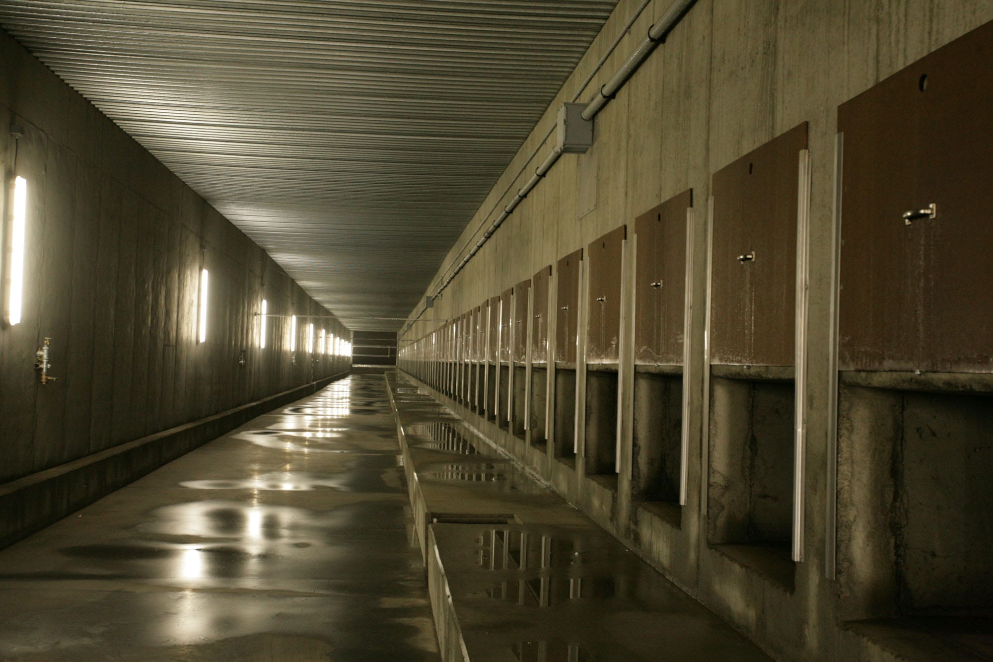 Long industrial tunnel with overhead lighting