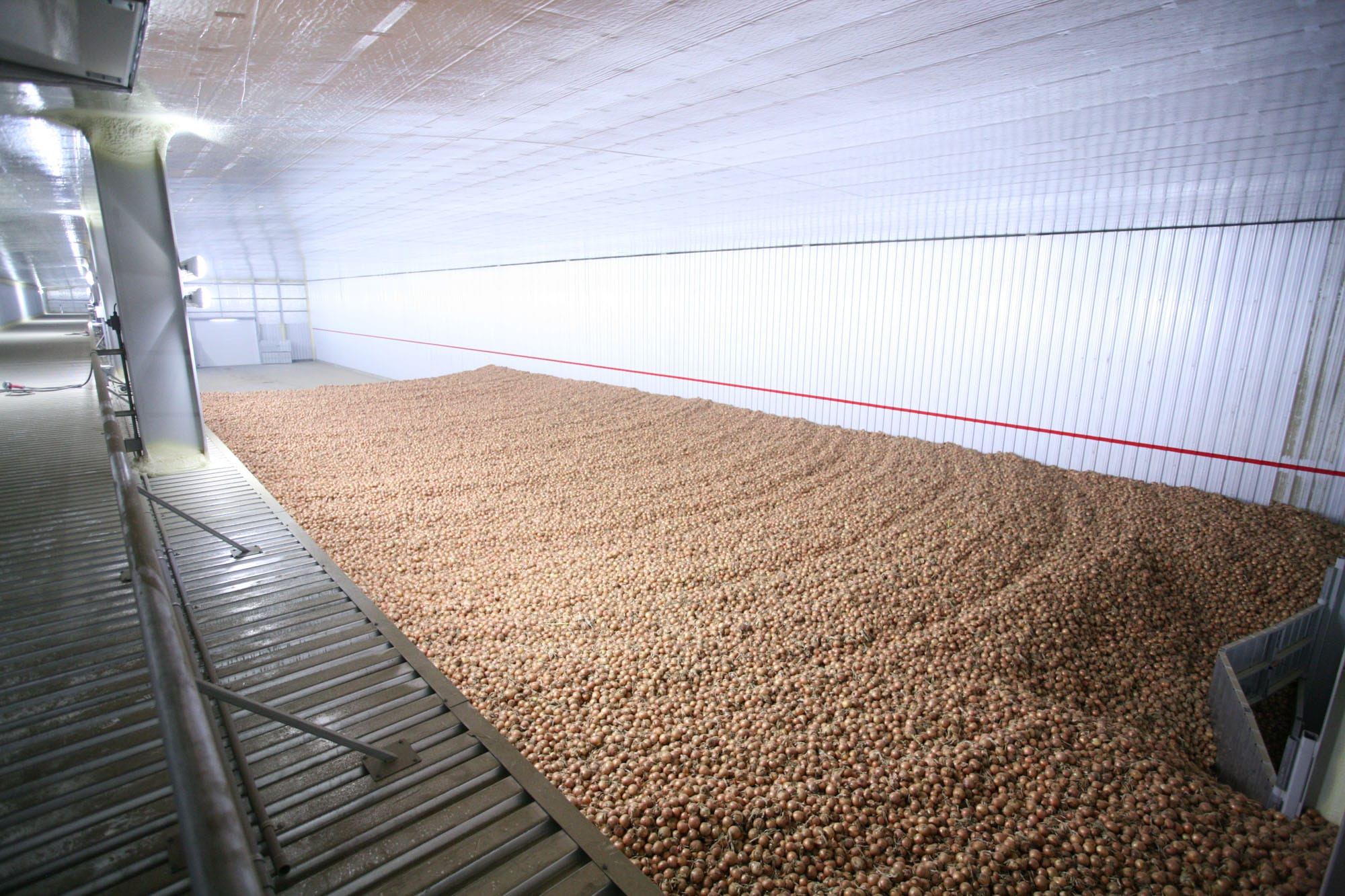 Large onion storage facility interior view.