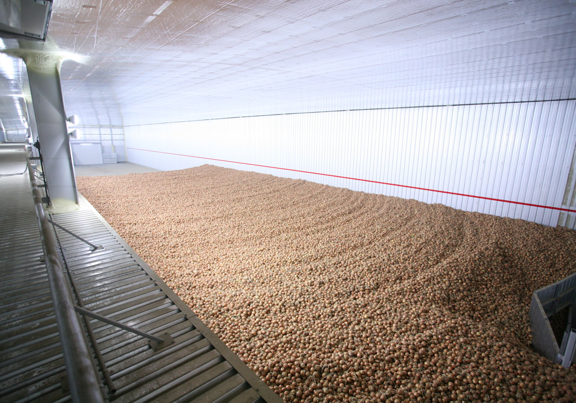 Large onion storage facility interior view.